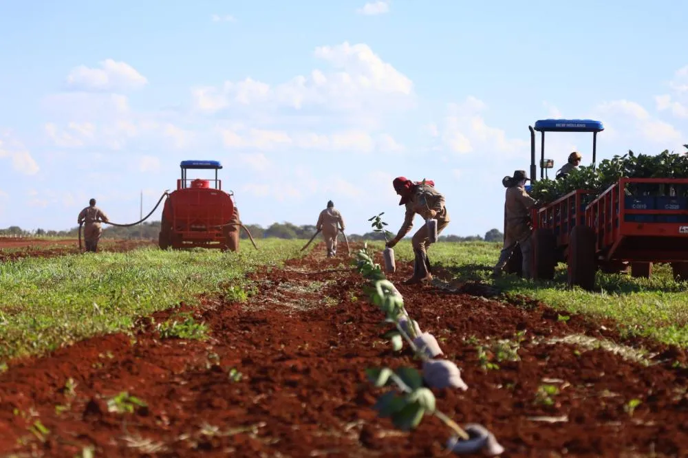 PIB de MS cresce 6,8% e atinge R$ 227 bi em 2025