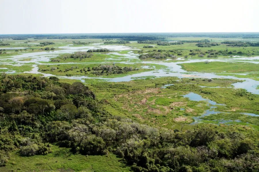 Produtores do Pantanal poderão ser remunerados por preservar a vegetação nativa