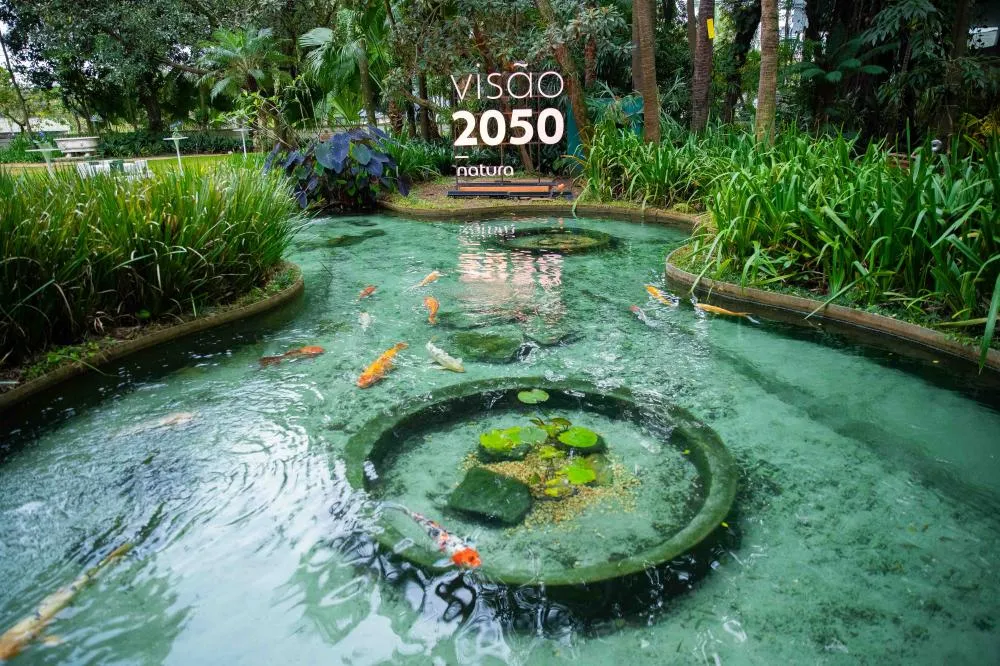 Estudo pioneiro vai investigar os impactos das mudanças climáticas na saúde mental dos brasileiros